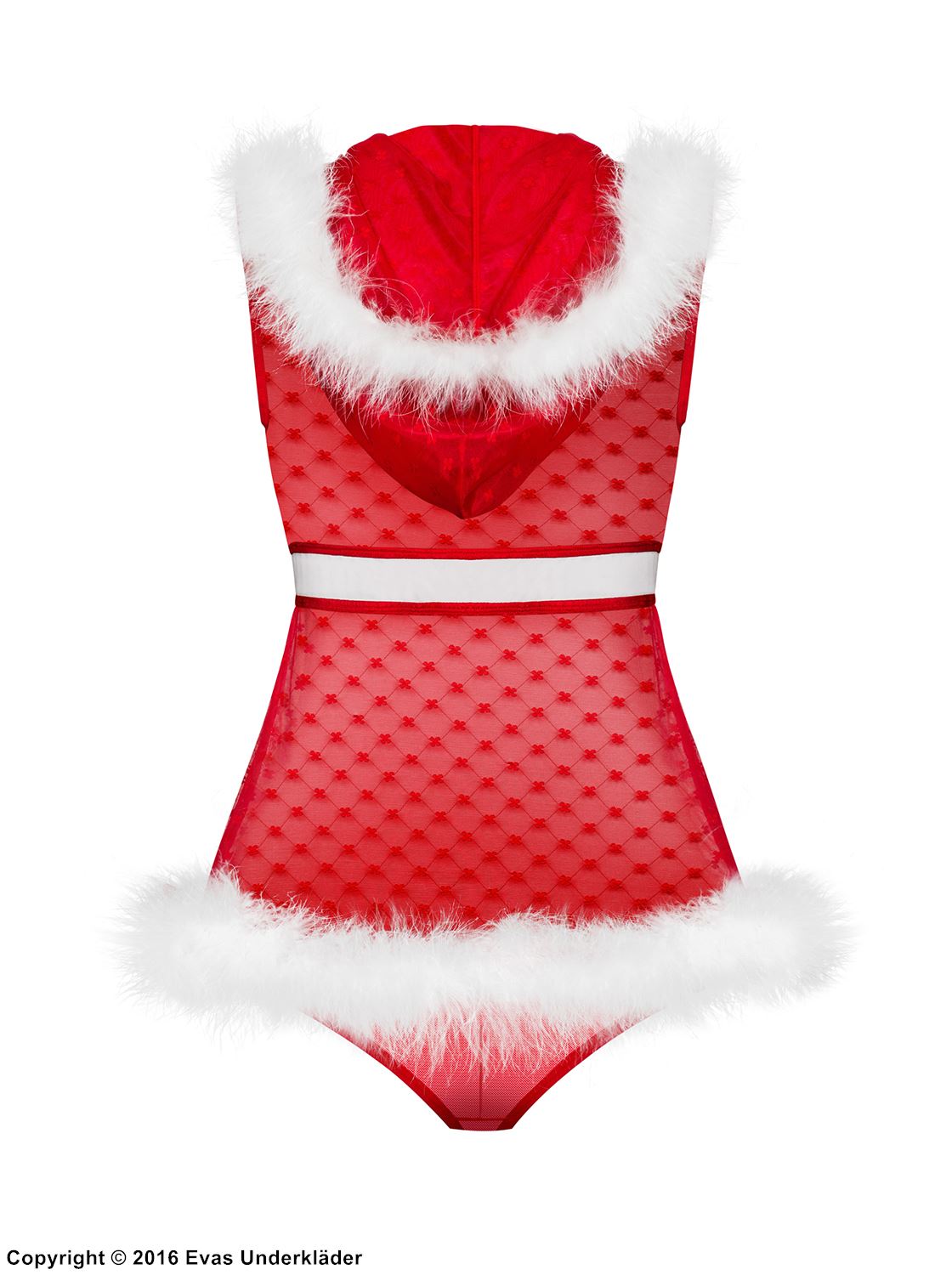 Chistmas lingerie / costume